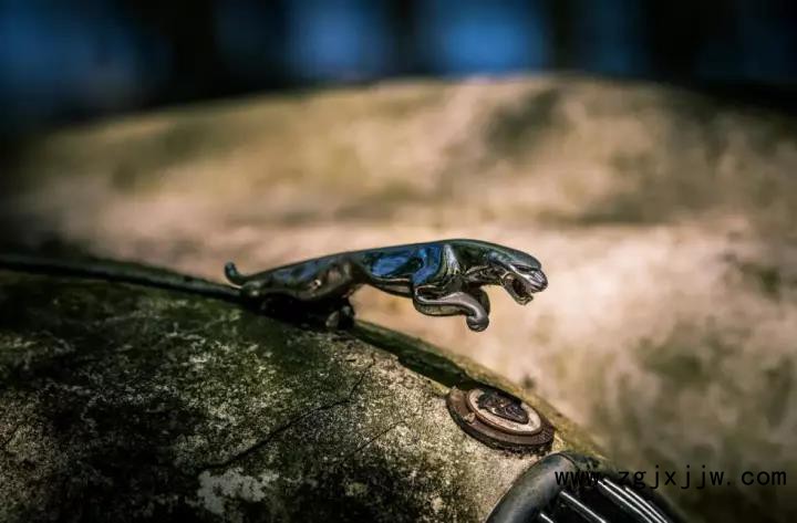 仿古設計、做舊工藝