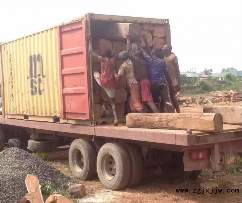 尼日利亞刺猬紫檀2