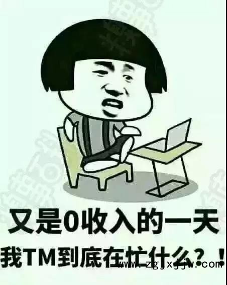 很多人都問你掙了多少錢