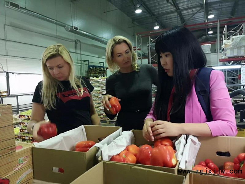 俄羅斯市民收到通過中歐蔬菜班列運送的贛南蔬菜