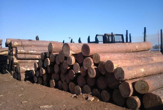 中高端紅木正處價值洼地，需求量銳減