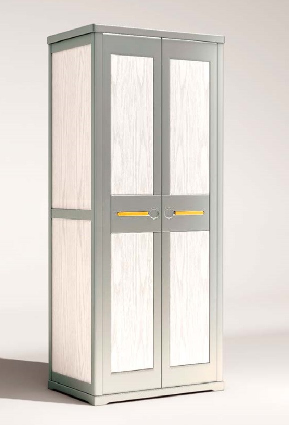 致青春現代輕奢實木系列9832#兩門衣柜（A色 灰+白）