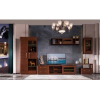 虔南世家斐然迪克品牌家具：966#電視組合柜