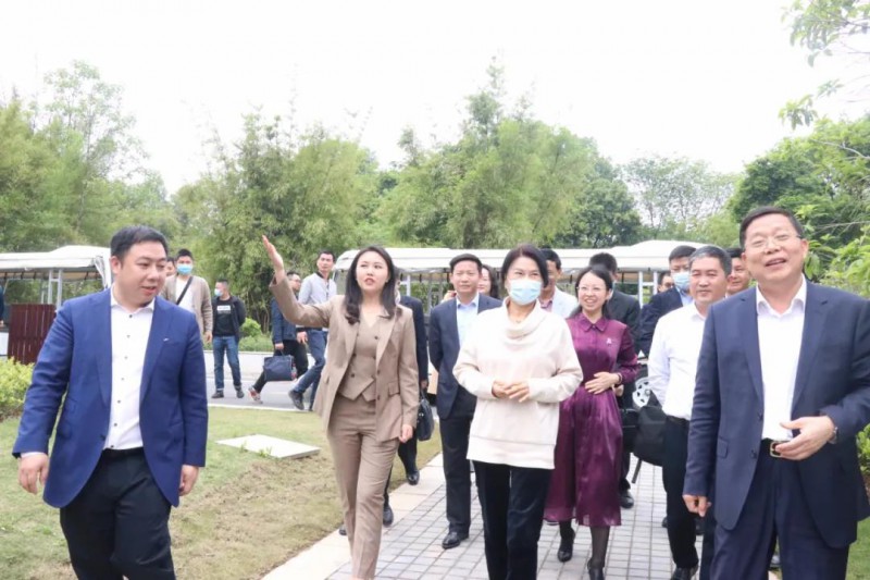 格力電器董事長董明珠考察南康家具產(chǎn)業(yè)3