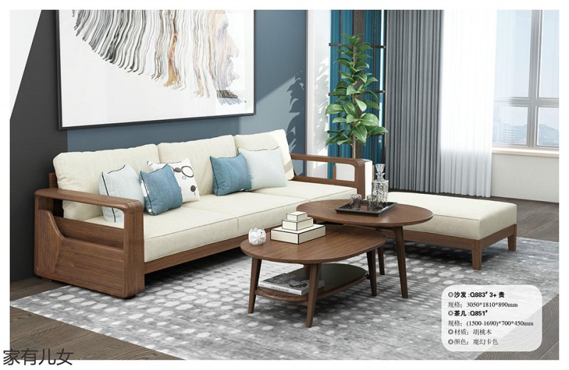 江西南康現(xiàn)代輕奢胡桃木家具4