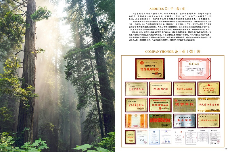 飛龍家具公司介紹