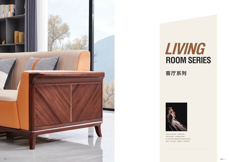 華夏國康卡迪婭輕奢極簡家具3