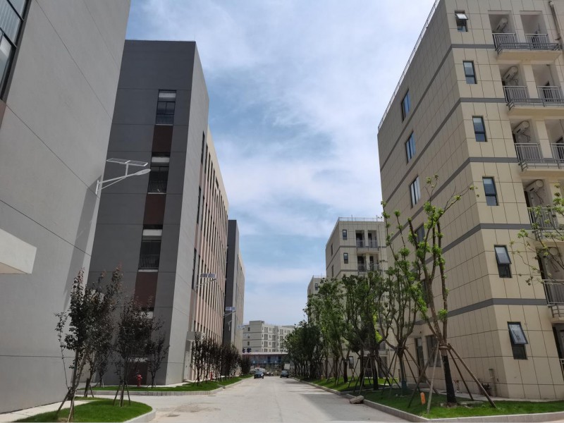 益志青少年兒童橡木套房家具工廠實拍2