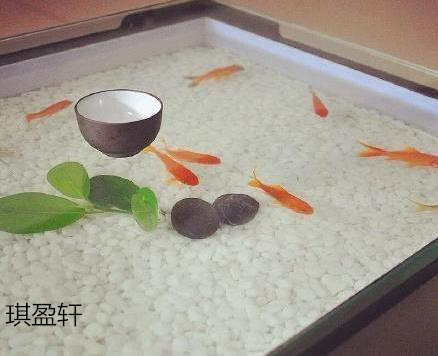 江西南康樹脂原木大板11