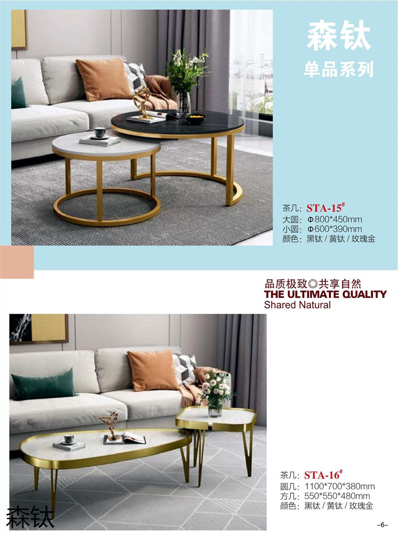 江西南康時尚輕奢金屬家具6