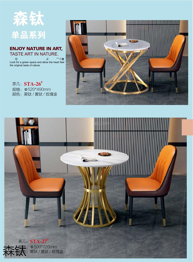 江西南康時尚輕奢金屬家具11