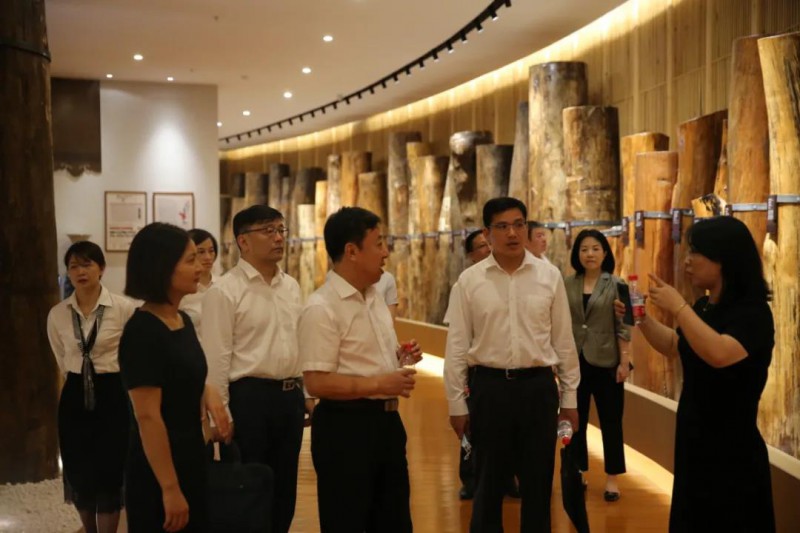 中國銀行江西省分行副行長馬健雄一行考察南康家具