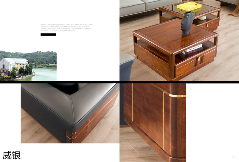 威銀家具·徳尚先生 徳式現(xiàn)代非洲金絲木家具4