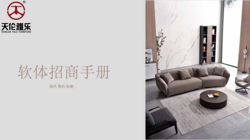 天倫雅樂現(xiàn)代簡約輕奢軟體家具1