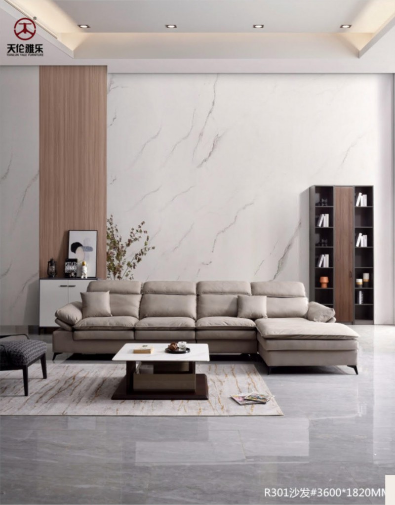 天倫雅樂現(xiàn)代簡約輕奢軟體家具3