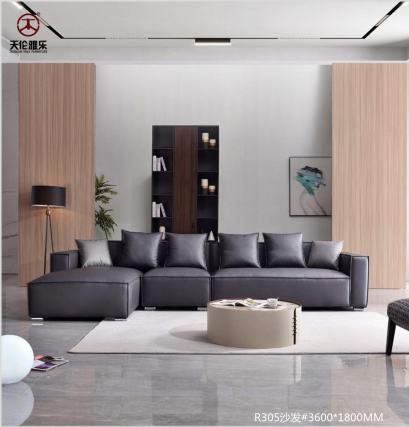 天倫雅樂現(xiàn)代簡約輕奢軟體家具8