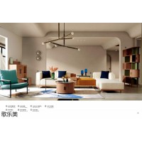 歌樂美現(xiàn)代極簡風(fēng)格白蠟?zāi)炯揖?南康現(xiàn)代極簡實木家具,江西原木色北美白蠟?zāi)咎追繌S家