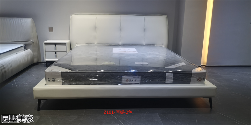 園墅美家極簡輕奢軟體床實拍