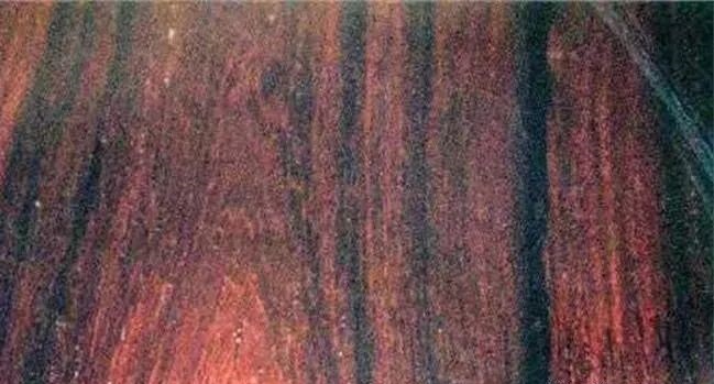 盧氏黑黃檀(學名：大葉紫檀)