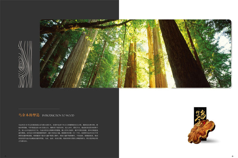 安華盛 現代極簡風格烏金木家具