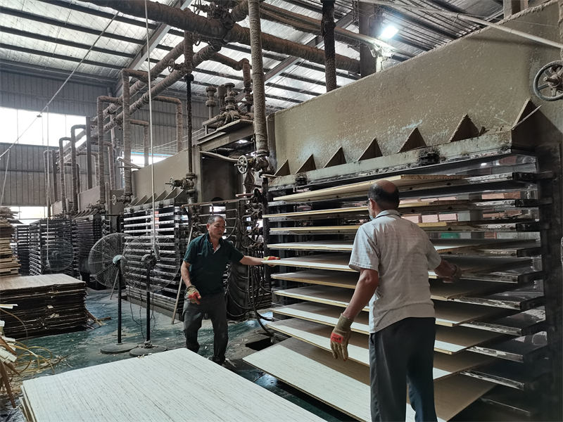 龍輝天緣床母廠家實拍