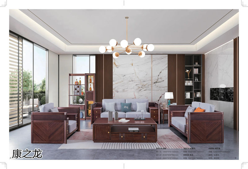 康之龍現代輕奢黑胡桃木家具