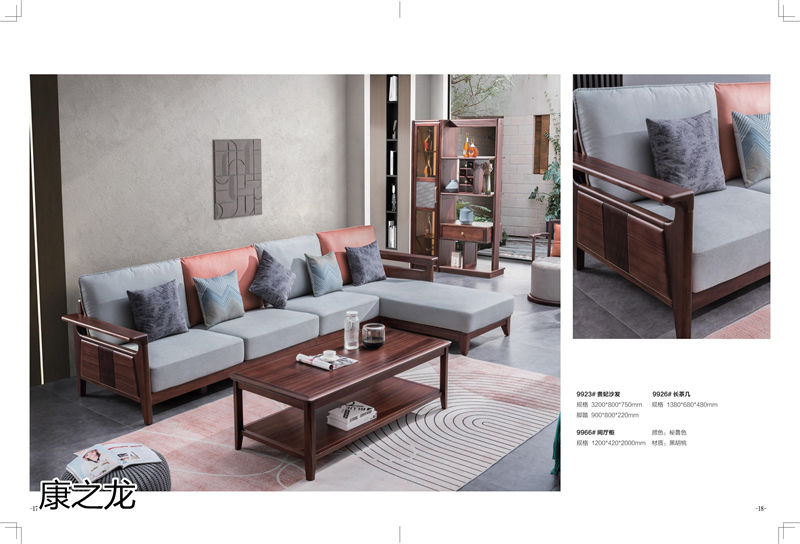 康之龍現代輕奢黑胡桃木家具