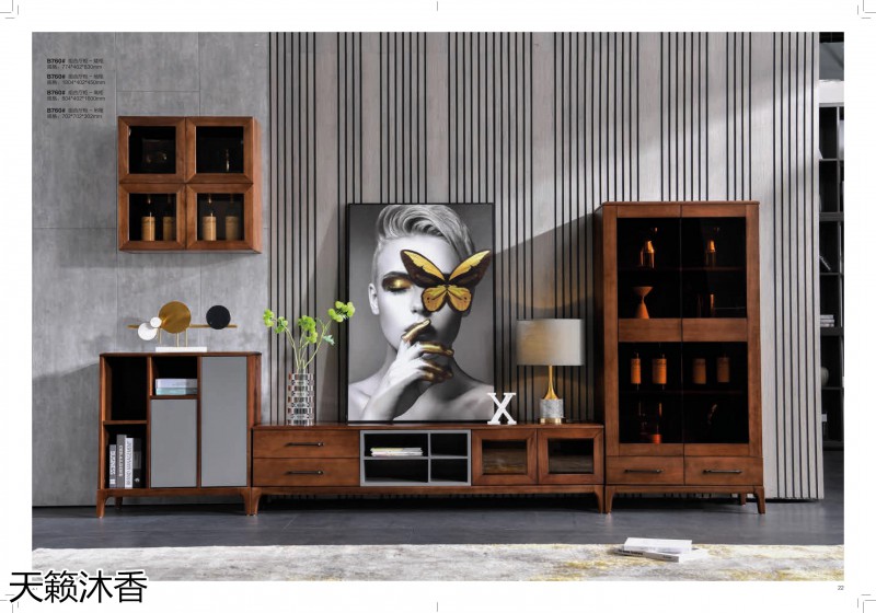 世紀豪軒·天籟沐香 初見系列現代極簡風格櫻桃木家具