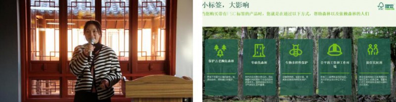 沈蕾授課：FSC認證助力木業家具企業可持續發展