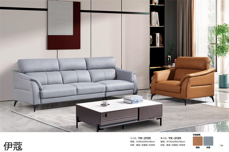 伊蔻家居 現代時尚簡約軟體沙發(fā)