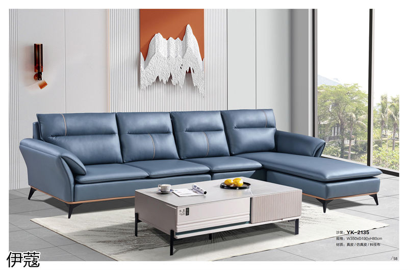 伊蔻家居 現代時尚簡約軟體沙發(fā)