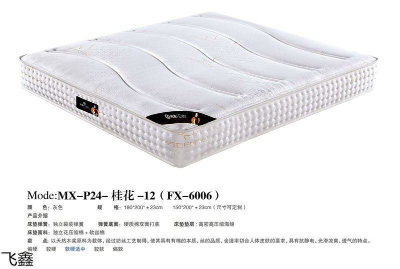 飛鑫軟體床、床墊產(chǎn)品