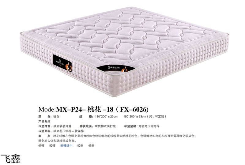飛鑫軟體床、床墊產(chǎn)品