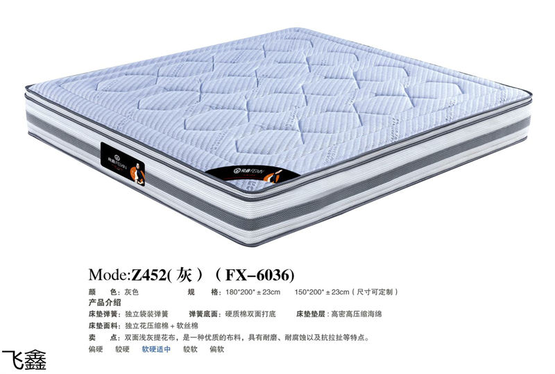 飛鑫軟體床、床墊產(chǎn)品