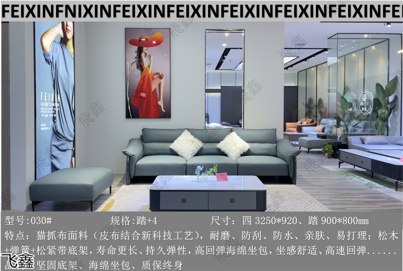 飛鑫軟體沙發(fā)產(chǎn)品