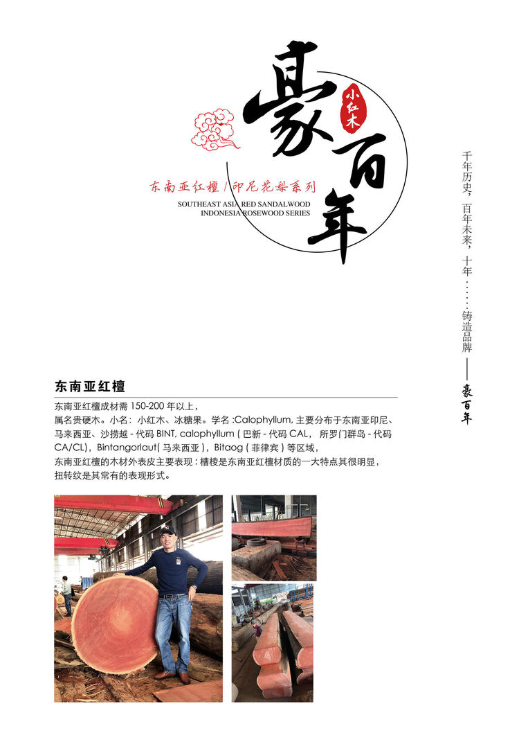 豪百年 東南亞紅檀木/印尼花梨木家具