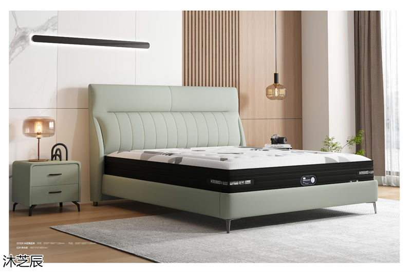 沐芝辰現代極簡風格軟體家具