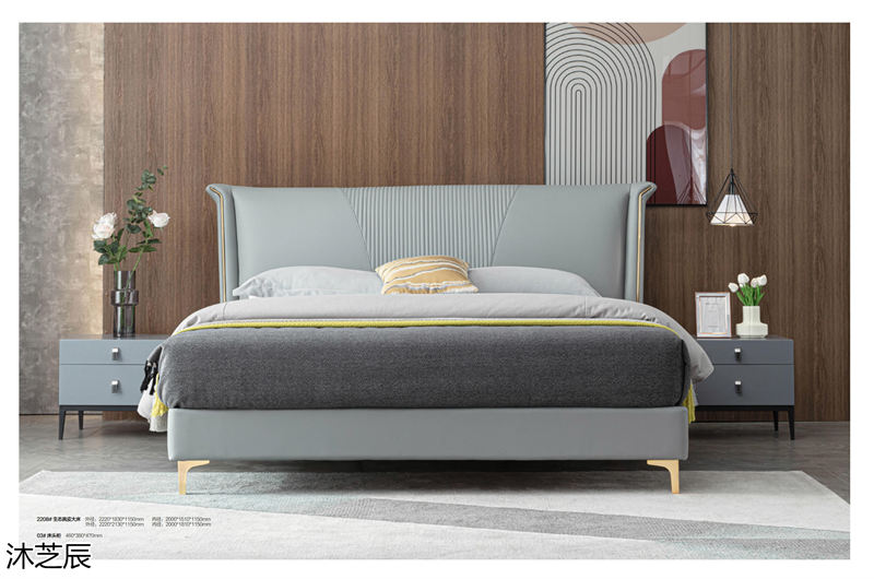 沐芝辰現代極簡風格軟體家具