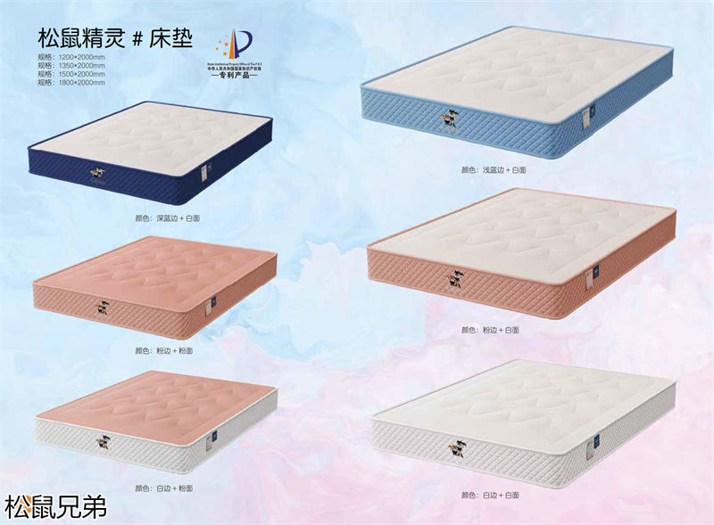 錦瑞家具·松鼠兄弟青少年兒童家具