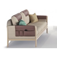 端瑞適老化兩人位沙發(fā)