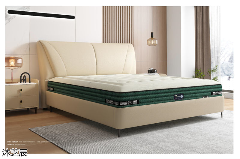 沐芝辰現代極簡軟體床、軟體沙發