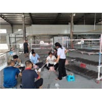 南康真空鍍膜廠家 (4)