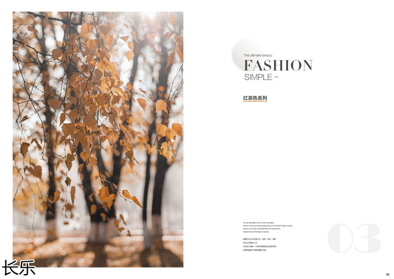 長(zhǎng)樂(lè)實(shí)木套房家具