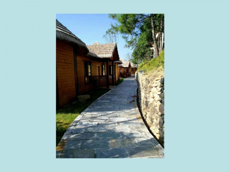 廈門木之屋景觀工程公司簡介及案例_9