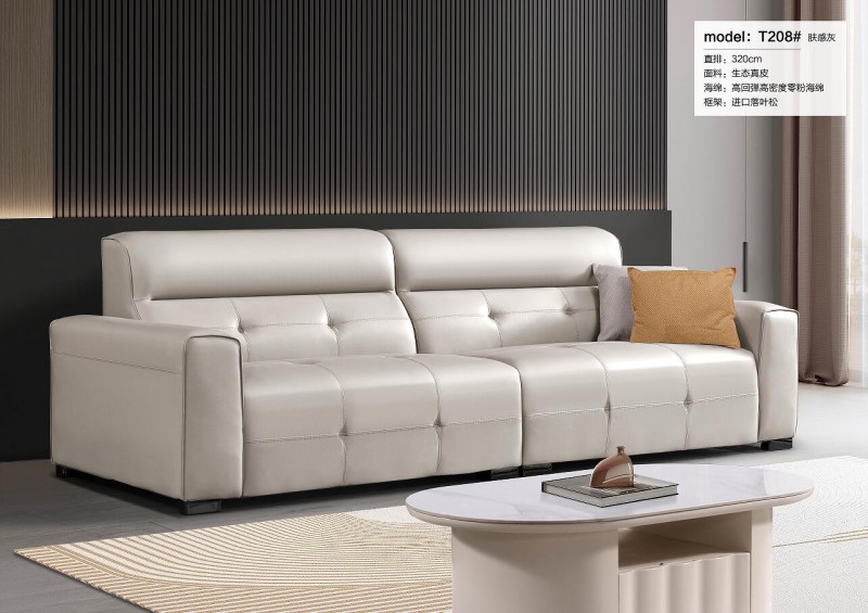 天辰一品休閑沙發 (2)