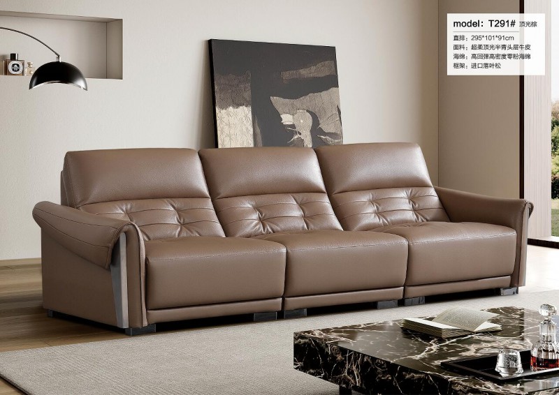 天辰一品休閑沙發 (4)